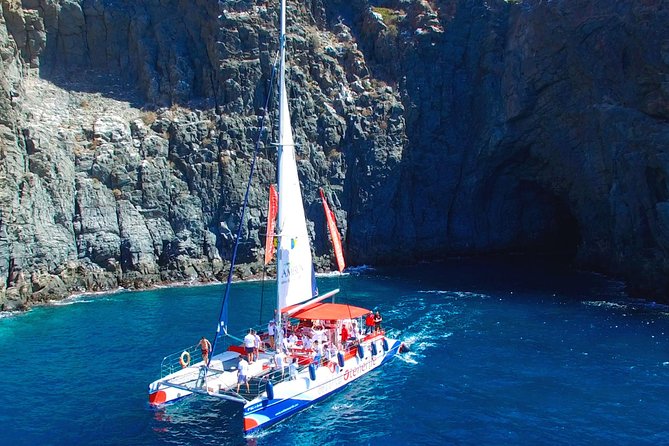 Whale watching and listening Eco-Catamaran Tour with Food Tasting - Food tasting and unlimited drinks: real value or just marketing?