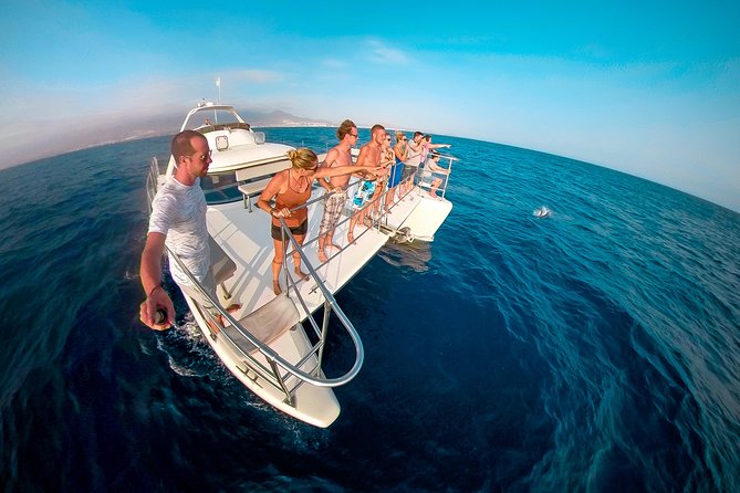 Whale Watching Catamaran Cruise with Transfer, Buffet by MC - Quick Hits Before You Board