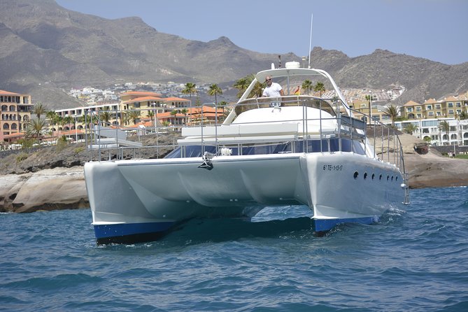 Whale Watching Catamaran Cruise with Transfer, Buffet by MC - From Puerto Colón Pier to the Open Sea