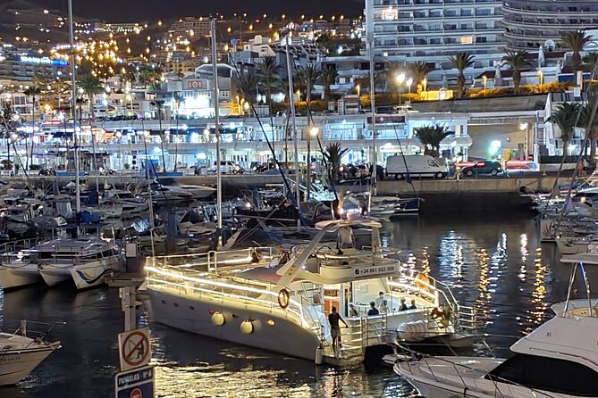 Whale Watching Catamaran Cruise with Transfer, Buffet by MC - Swimming and Snorkeling Stop: The Moment You’ll Remember