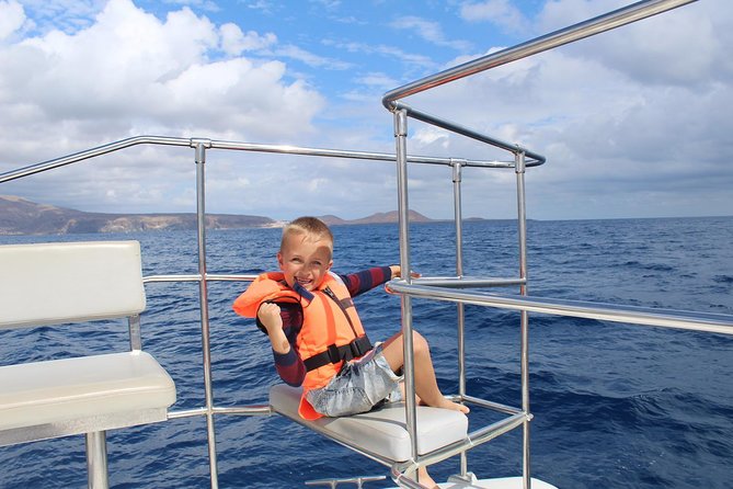 Whale Watching Catamaran Cruise with Transfer, Buffet by MC - Pickup and Transfer: Door to Door, But Know the Boundaries