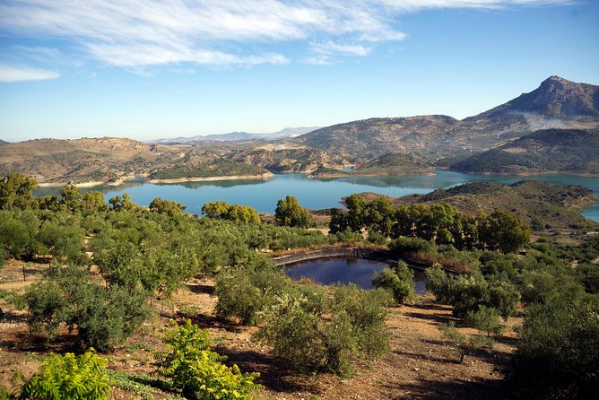 White Villages and Ronda Day Tour from Seville - Quick hits: what makes this day trip work